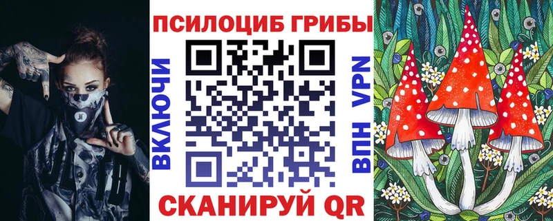 KRAKEN   Соликамск  Галлюциногенные грибы Cubensis 